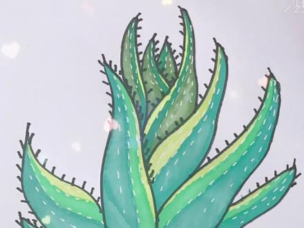 教你画简笔画芦荟#儿童简笔画 #儿童学画画 #简笔画教程 #宝宝学画画 #少儿美术教育 #马克笔儿童画 #画画的baby