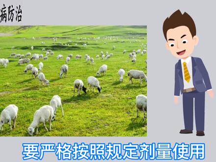 羊伊维菌素、阿维菌素中读的症状及应对措施。以及使用方法