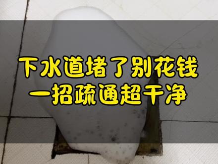 卫生间下水道又堵又反味?别再花钱找人疏通了!小苏打+白醋,几毛钱搞定,冲完给新的一样!#生活小妙招#疏通下水道#厨房妙招#清洁妙招#卫生间清洁@硕妈家的生活