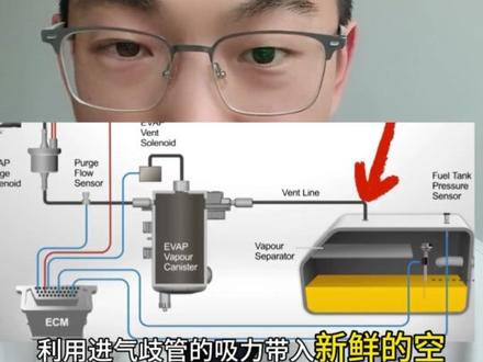 汽车碳罐全攻略:作用、故障、保养一次讲清 #汽车知识 #汽车保养 #碳罐 #用车常识 #修车不被坑