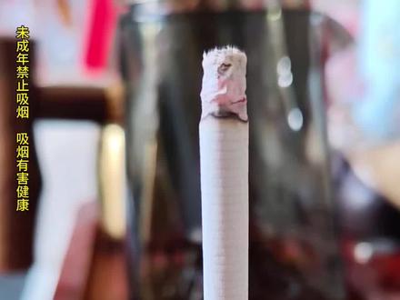 我也测试了一下烟草出台的政策,还真是添加了助燃剂,不抽就咔咔燃烧#烟草助燃剂 #泰山颜悦 #烟草 #香烟 #烟民