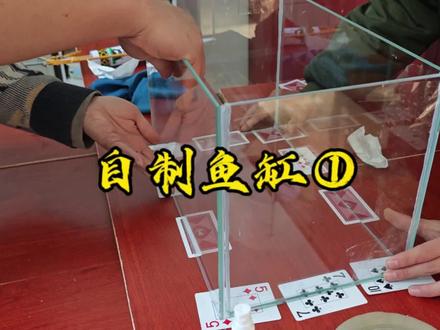 低成本自制玻璃鱼缸,省钱的同时还有满满的自豪感#水族 #鱼缸 #养鱼日记 #教程