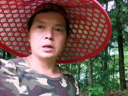 大山上到处都是没人要的石灰菌,其实只要处理好了,炖啥都好吃哦 #野生菌