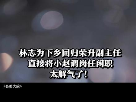 林志为下乡回归荣升副主任,直接将小赵调岗任闲职,太解气了! #县委大院 #张新成 #胡歌 #精彩片段