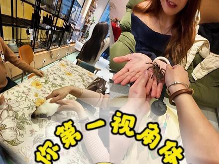 烟台鸟咖|什么五毒教掌门 请叫我爬宠店主理人 #鹦鹉 #萌宠 #鸟咖