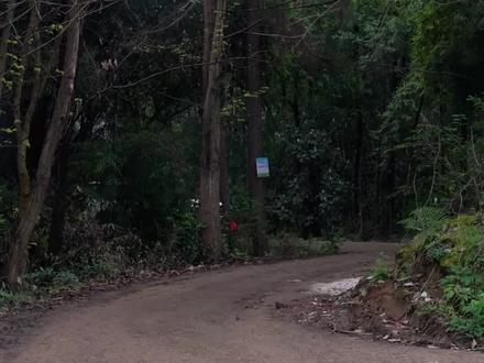 酷路泽的代言词#酷路泽#丰田