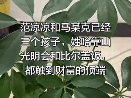 听海洋的故事,了解真实的世界
