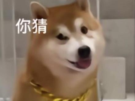 2026年的情人节,好像已经凉透了