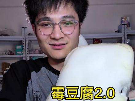 霉豆腐2.0(解压版) #为什么人人都想演“卖霉豆腐” #霉豆腐 #自制霉豆腐 #万物皆可霉豆腐 #当我用高级的手法拍霉豆腐