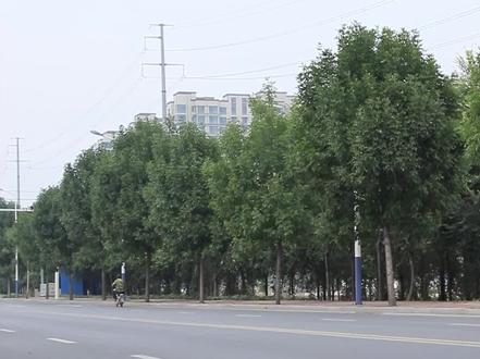 冲冲冲,闯闯闯,惨惨惨!交通安全无侥幸#交通安全@安阳交警