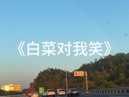 “白菜对我笑”#白菜对我笑 #音乐分享 #洗脑神曲 #戴上耳机