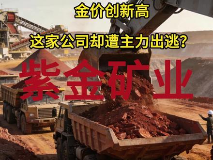 金价创新高,这家公司却遭主力出逃?紫金矿业 #股市 #股票知识 #理财有风险投资要谨慎 #紫金矿业