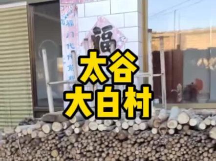 柴火摆放整齐,这活一看就是精干人弄得#农村生活
