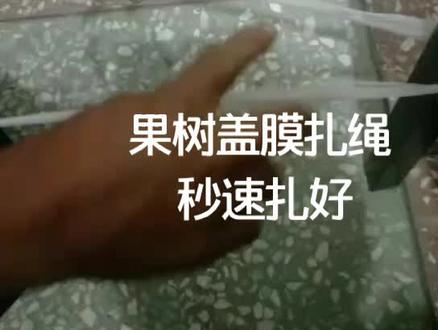 果树盖膜时快速扎绳方法#我的生活日记 #绳结