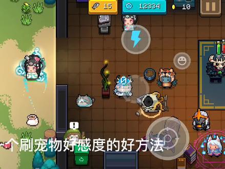 #元气骑士 宠物好感度速刷#游戏沙雕操作