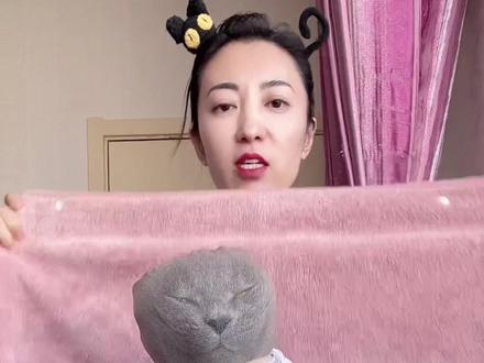 咬人的小猫,怎么包#一种很新的撸猫手法 #控猫大法 #猫头套 #丝袜