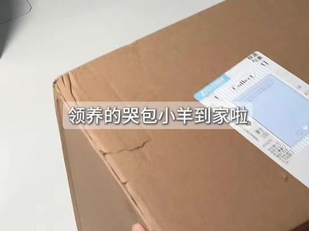 挖到了一只敲软萌的哭包小羊#提升幸福感好物 #玩偶毛绒玩具