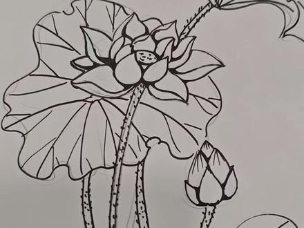 一分钟教会你画超简单的荷花#画画 #简笔画 #零基础学画画#每日一画