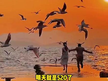 你们520怎么过 #520 #单身 #抽象 #万万没想到