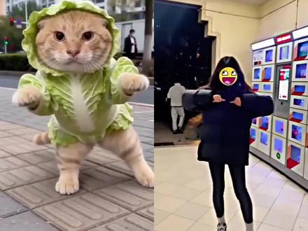 白菜对我笑舞蹈教学 白菜对我笑舞蹈ai特效 白菜对我笑ai生成模板 白菜对我笑ai玩法 ai白菜对我笑舞蹈教程 #ai白菜对我笑舞蹈 白菜对我笑舞蹈ai生成指令 #ai白菜跳舞 白菜对我笑ai模板 #剪映 #白菜对我笑舞蹈ai