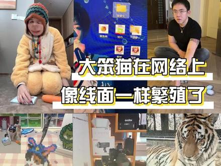 但凡网瘾小一点都看不懂在拍什么吧 yc:@超级无敌大开门 #萝卜纸巾猫咪逐渐抽象 #萝卜纸巾猫咪模仿挑战 #搞笑 #猫咪