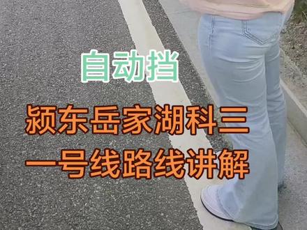 颍东岳家湖科目三一号线路线讲解视频