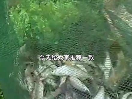 放地笼的同学有福了,加点这个,渔获少不了#地笼捕龙虾 #地笼饵料#地笼