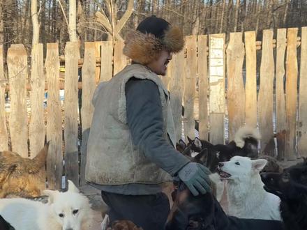 巡山遛狗,骑马喝酒!#狗#马#大山深处自然美山清水秀好风光