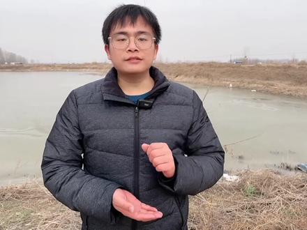 小龙虾自制饲料,听完你会用吗?#四大家鱼养殖 #水产养殖技术 #鱼虾蟹养殖 #水产养殖 #水产人 #小龙虾养殖
