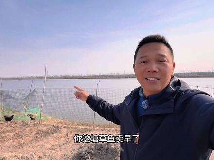 6万斤草鱼留到现在卖,那不是赚的更多?咱们今天来复盘一下,看看什么时候卖鱼最合适!