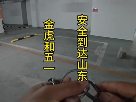 五一和金虎,快快乐乐成长 #萌宠 #狗狗