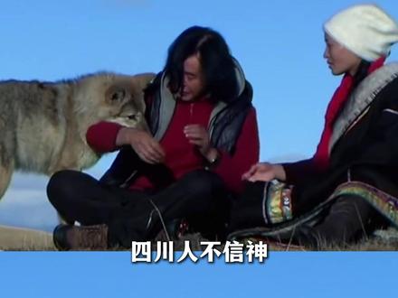 《四川人风评被害》 #重返狼群 #格林 #李微漪 #亦风 #搞笑