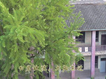 龙山一中校歌,可能需要改词了!