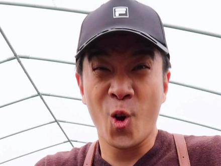 踩不死的草坪,还能开花,买它! @抖音小助手 #我要上热门