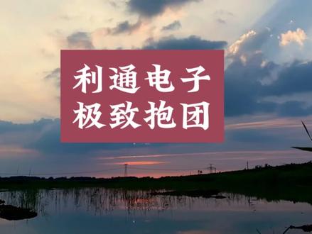 当极致抱团股利通电子遇上重点监管 #利通电子#抱团#机构#散户#股民