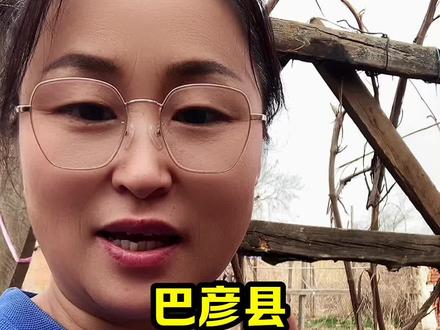 巴彦县那几个乡镇蕞富裕#巴彦县#同城