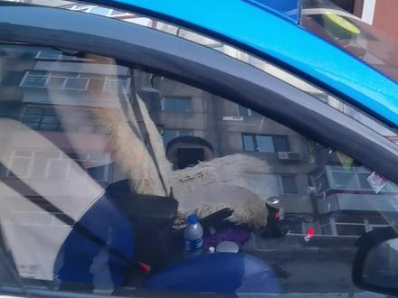 奔腾b30故障分析。#汽车知识 #汽车维修技术 #汽车维修 #专业维修 #汽车 #同城热门 #汽车保养与维修 #汽车维修服务 #天然气配件 #专业维修保养 #抖音汽车