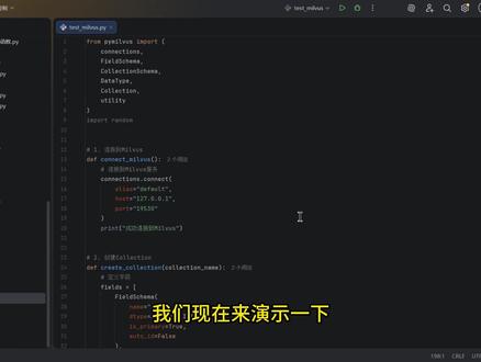 13.Python代码CURD Milvus数据库实战! #python #Milvus #程序员 #编程 #AI大模型