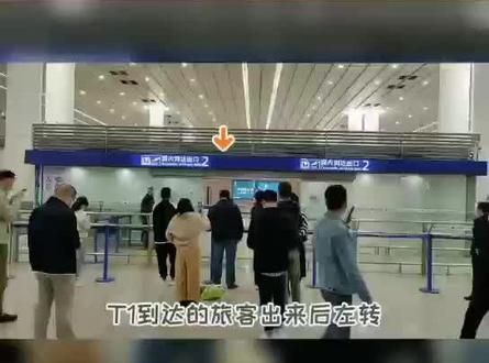 浦东机场T1到达接送线路视频指示图