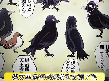 鬼杀队的每只鎹鸦都好萌 #鬼灭之刃 #鹅滴神片