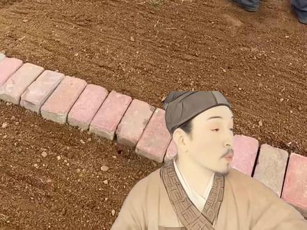 春天不要着急种菜 #种植小技巧 #蔬菜种植 #阳台种菜 #家庭种植 #有机蔬菜