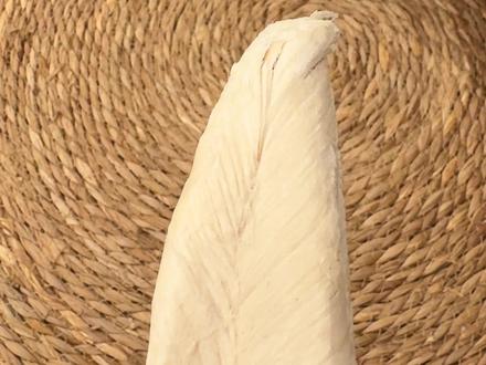 当鸡胸肉做了个噩梦~ #萌猫趣事 #当工具做了个噩梦 #抽象 #万万想不到