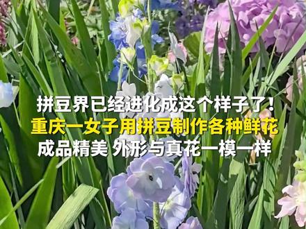 3月19日(报道时间),重庆。拼豆界已经进化成这个样子了!重庆一女子用拼豆制作各种鲜花,成品精美,外形与真花一模一样。(第1眼TV-华龙网原创采访报道)源:@biu特虎