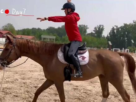 新手学骑马一周的改变:10节课应该会会压浪 前骑坐和起坐三种快步的转换, 启动和停止 参加德国马协10级的考试#马术运动 #申申马术课堂 #马术 #骑马 #马场马术 #马术俱乐部