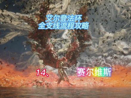 艾尔登法环全支线之14、赛尔维斯 #艾尔登法环支线 #艾尔登法环攻略 #塞尔维斯 #老头环 #单机游戏