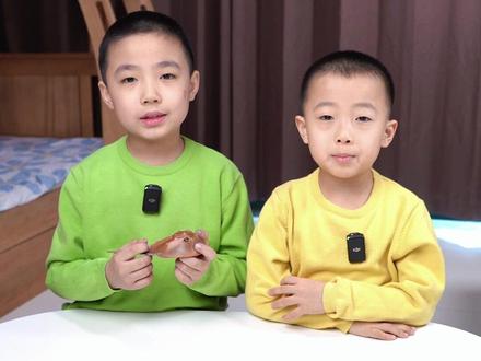 远古“小怪兽”——中华鲎 #涨知识#硬核知识局 #小哥俩的欢乐时光 #知识分享#史前生物 #泥盆纪#萌娃日常 #家有萌娃#玩具 #中华鲎 #自然知识科普 @抖音青少年 @抖音小助手 @DOU+小助手