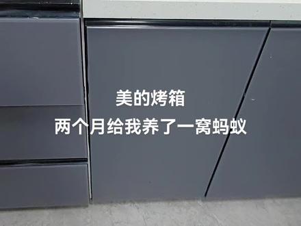 美的烤箱,嵌入式,安装几个月,用了几个月,养了一窝蚂蚁,师傅上门维修说拆了清掉蚂蚁,以后还会从缝里进去,好牛逼的设计#烤箱 #微波炉 #烤箱美食 #爱生活爱厨房 #厨房 @美的官方旗舰店 @美的集团 @美的智慧家 @美的服务