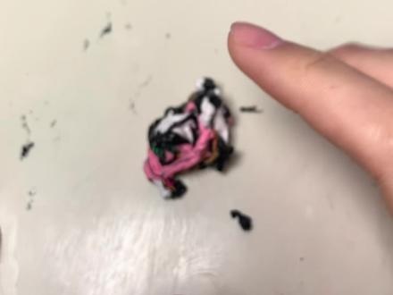 咬竹子的乖乖 祢豆子的温柔和狠劲,真的太戳了,平时安安静静窝着,哥有事直接冲在前#鬼灭之刃 #祢豆子 #手绘 #瞎画系列