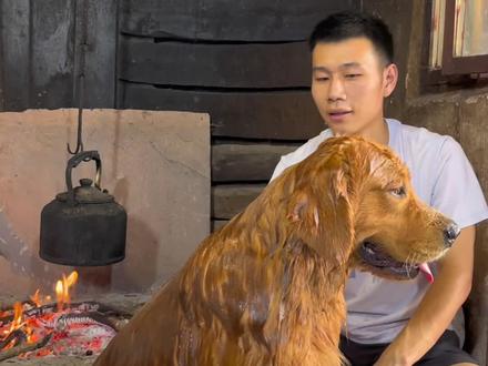 家中洗狗教程#狗洗澡 #教程 #萌宠 #农村生活 #技术分享