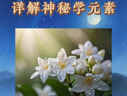详解神秘学元素之茉莉 #茉莉 #茉莉花 #神秘学 #神秘学知识 #涨知识